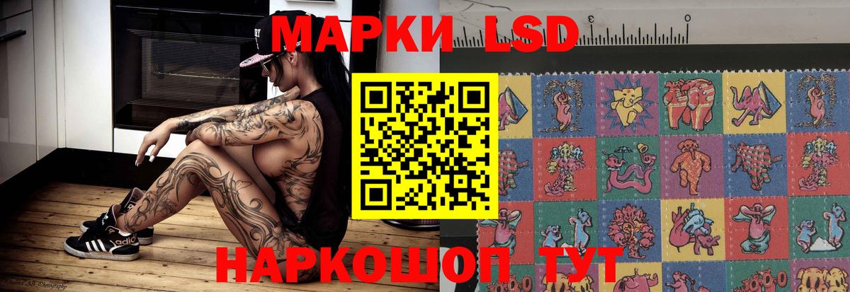 Заволжье  ЛСД экстази кислота  ЛСД экстази ecstasy  Вход с VPN 