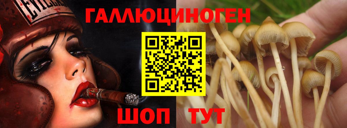 Псилоцибиновые грибы ЛСД Заволжье